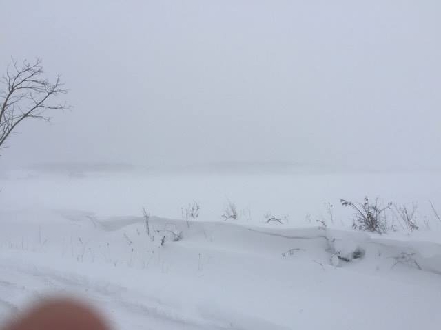 Lipjani i bllokuar nga bora e madhe (Foto)