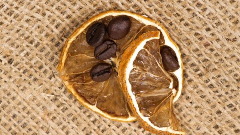 MOS PINI ILAÇE KUNDËR DHIMBJEVE: Limoni dhe kafja mund t’ju ndihmojnë