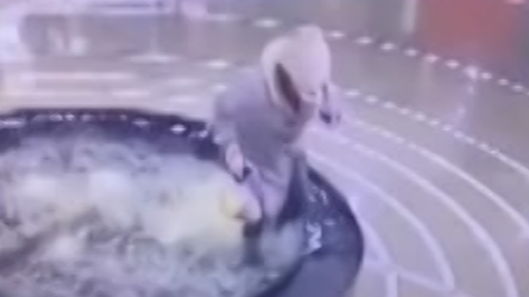 Përfundon në ujin e fontanës derisa shkruante në telefon (Video)