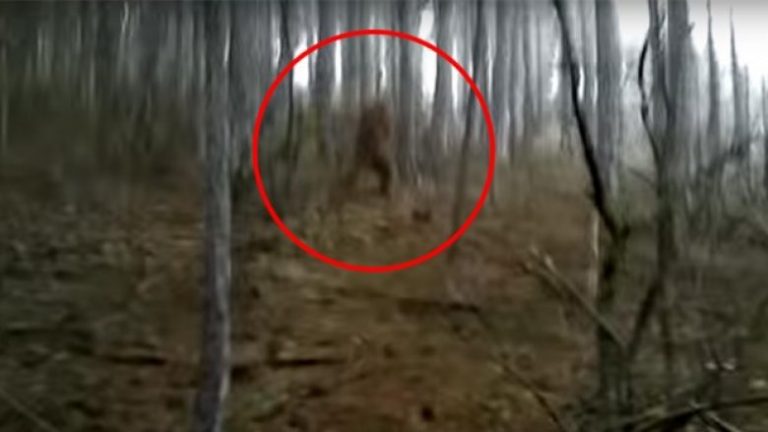 Filmohet krijesa e çuditshme në Krime, askush nuk po e di nëse bëhet fjalë për këmbëmadhin apo është mashtrim (Video)