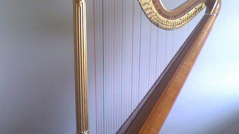 Vetëm një për qind e njerëzve, mund ta shohin instrumentin muzikor të fshehur në ilustrim (Foto)
