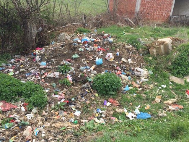 18034770_1493854467305962_1092709085_n