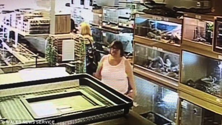 Nuk e pa derën hapur në dysheme, ra katër metra poshtë dhe theu këmbën (Video)