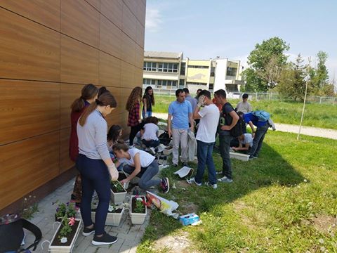 Grupi i ambientalistëve të gjimnazit vazhdojnë me mbjelljen luleve (FOTO)