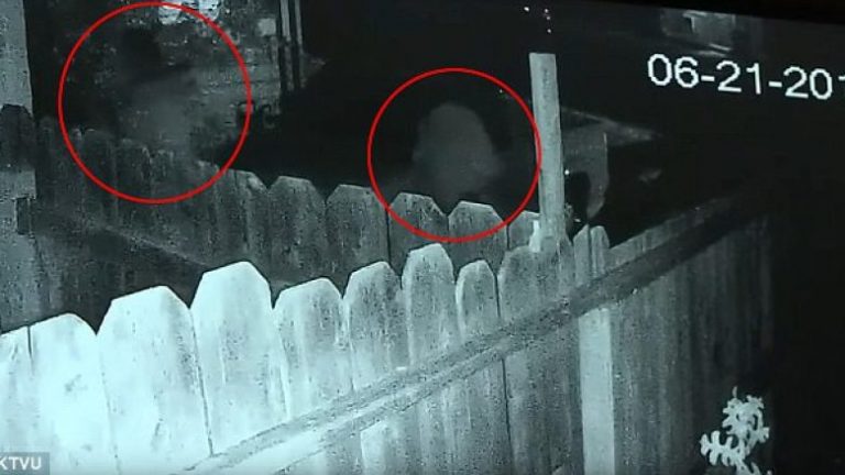 Dy burrat futen në një shtëpi për ta plaçkitur, por e pësojnë keq nga pronari që i qëllon për vdekje (Video, +18)