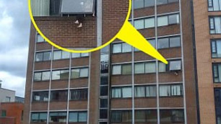 Qëndron me këmbë përjashta dritares së katit të pestë, derisa ishte duke pirë çaj (Foto)