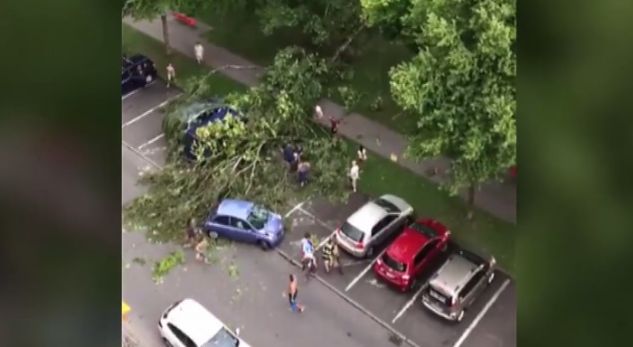 Stuhi e paparë në Zvicër, pema e rrëzuar zë tre fëmijë (Video)