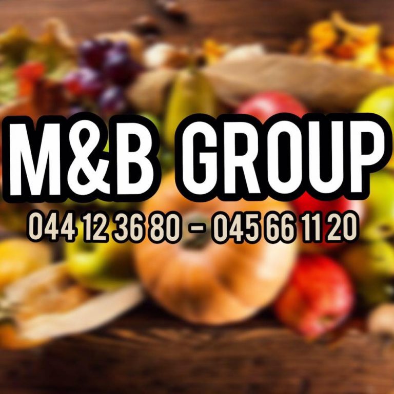 AKSION i madhë tek Tregu Ditor – M&B Group, Lipjan