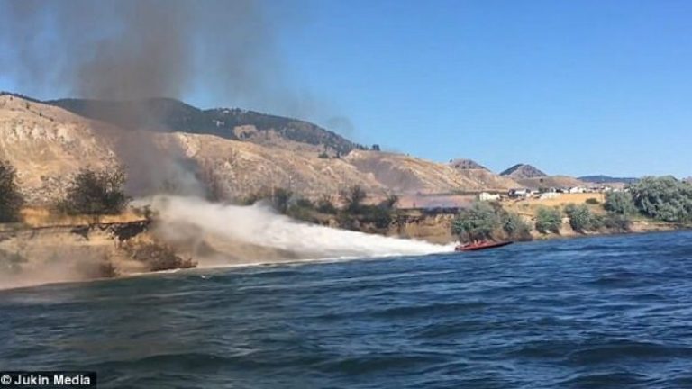 Përmes manovrave të barkës fiku zjarrin që kishte përfshirë pemët (Video)