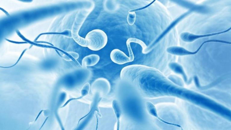 Obeziteti ndikon në kualitetin dhe kuantitetin e spermës