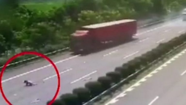 E zë gjumi pranë timonit dhe përplaset me kamionin – e bija e tij që ishte brenda “fluturon” nga dritarja (Video, +18)