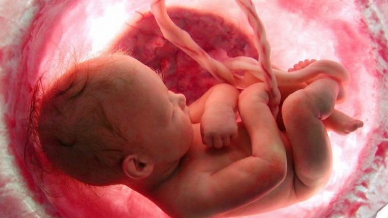 Lëngu të cilin femra e nxjerr jashtë kur pëlcet amniosi nuk është ujë – por diçka më shumë se e neveritshme