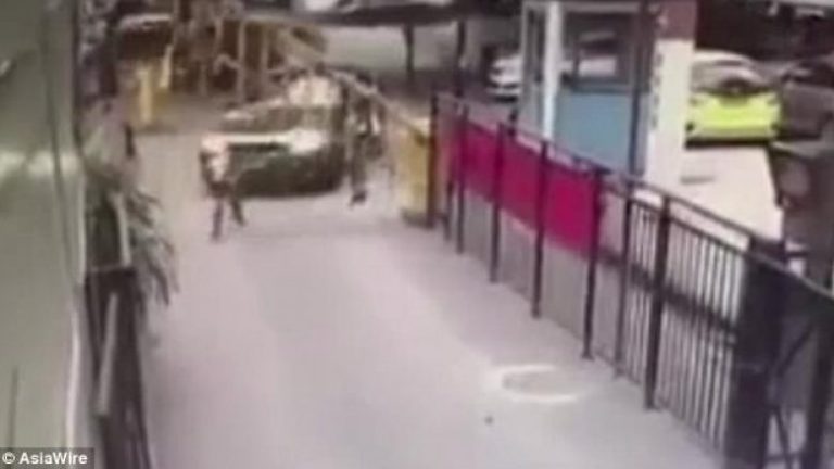 I ngatërrohet çanta dhe ngeci në laurë (Video)