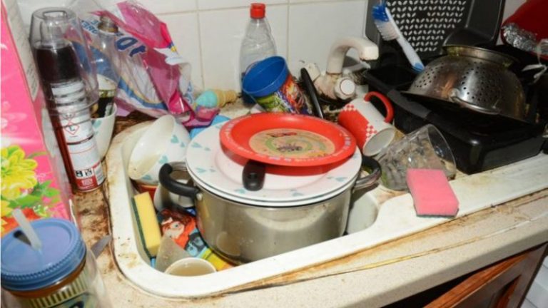 Brenda shtëpisë së papastër ku rriteshin pesë fëmijë (Foto)
