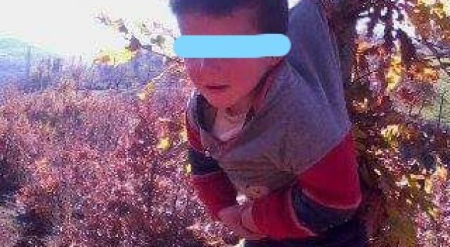 Elbasan, varën fëmijën në pemë, babai në polici: Kjo është e vërteta