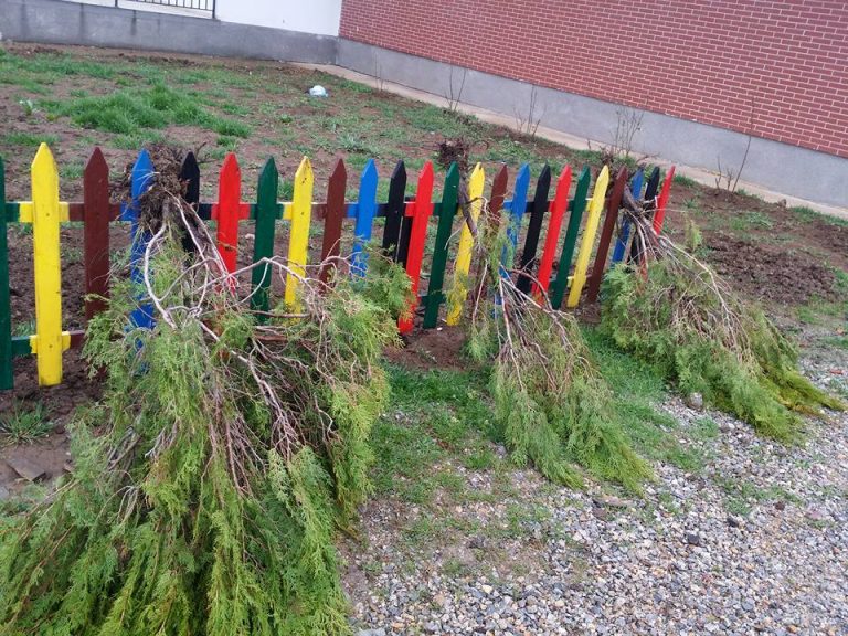 Dëmtohet shkolla “Nezë Bujani” Bujan, 07 mars është thyer dera e shkollës, sot dëmtuan pishat