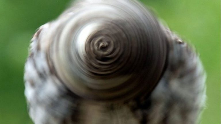 Huti rrotullon kokën me shpejtësi të ‘turjelës’ (Foto)