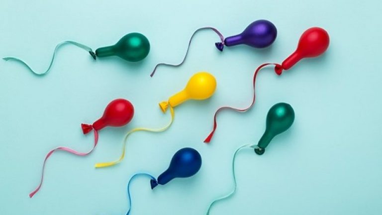 Birra e rritë numrin e spermatozoideve
