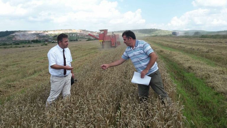 Në Komunën e Lipjanit filluan korrje-shirjet