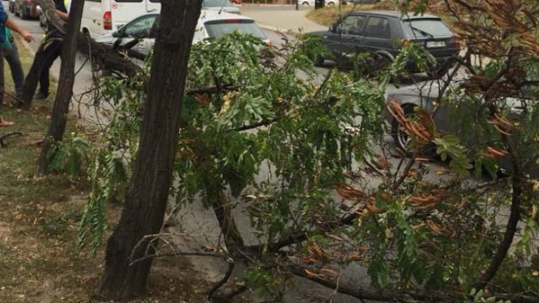 Ahmeti: Nga erërat e forta, disa lëndime të lehta të qytetarëve dhe dëme materiale