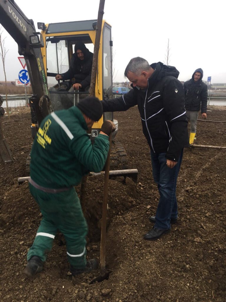 Kryetari Ahmeti bën mbjelljet e para të pemëve dekorative në parkun tek rrethrrotullimi për Magurë