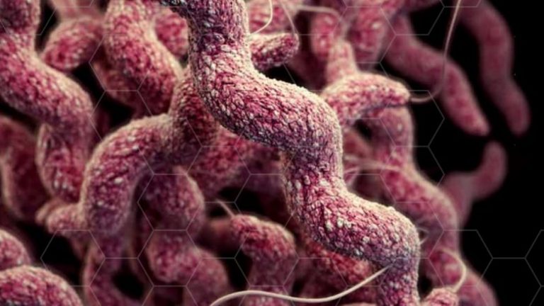 Rezistenca ndaj antibiotikëve mund t’i vret 10 milionë njerëz deri në vitin 2050