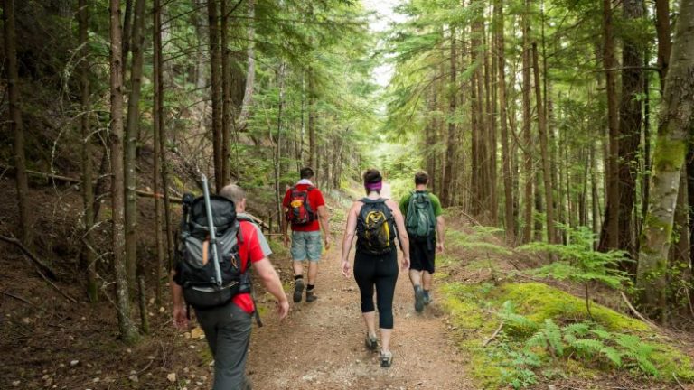 Doktorët shpjegojnë se si hiking-u e ndryshon trurin tonë