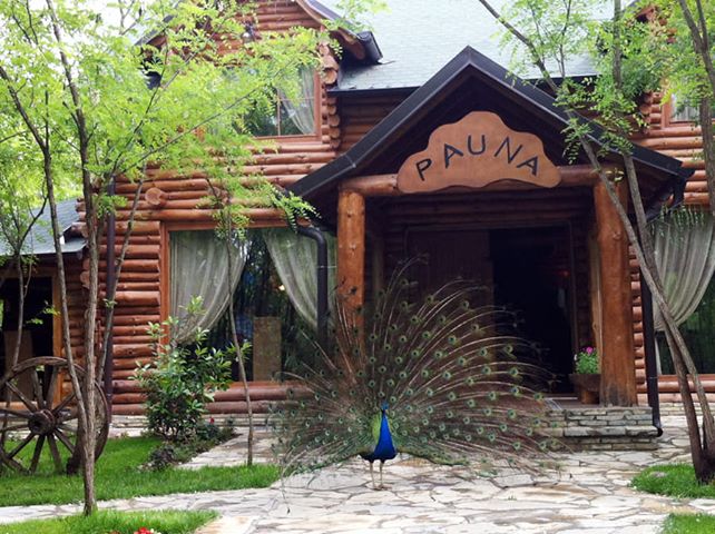 Konkurs nga Restaurant “Villa Pauna” Lipjan, (Kuzhinier, Ndihmes-kuzhinier, Pizzaman, Kamarier)