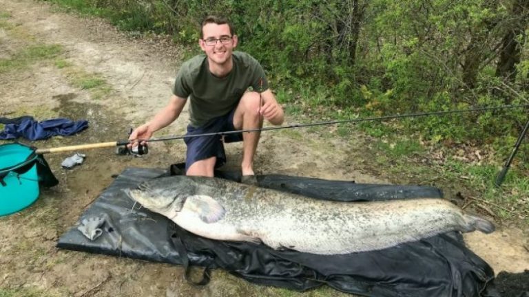 Zuri një peshk më të gjatë se vet ai, me një shkop që peshkohen peshqit e vegjël (Foto)