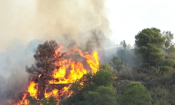 Shkrumbohet Evropa, dy të vdekur, kafshët po digjen të gjalla