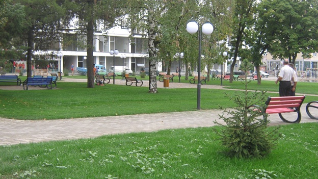 Lipjan, policia arreston një person pasi preu dru në park