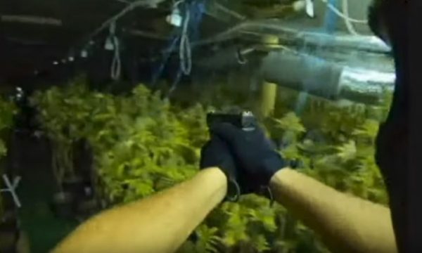 Shihni se si njësia speciale hyjnë në laboratorët e drogës në Bosnjë dhe Hercegovinë