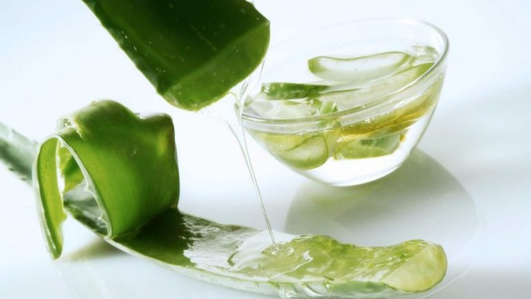 Nuk kanë vend as ftohja as gripi. Përse është me rëndësi të fillohet dita me pijen aloe vera?