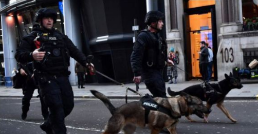 Videoja e vrasjes së terroristit në “London Bridge”