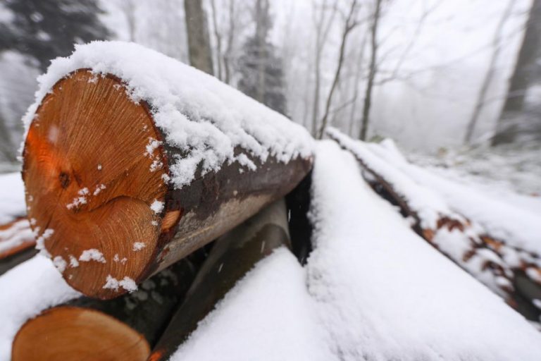 Borë e madhe në këtë vend, kaq bukur duket natyra (Pamje)