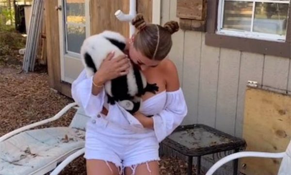 Lemuri problematik zhvesh supermodelen para syve të të gjithëve