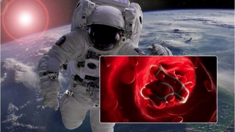 NASA zbulon fenomenin e çuditshëm, madje vdekjeprurës – gjaku i astronautëve mpikset dhe lëviz në drejtim të kundërt!