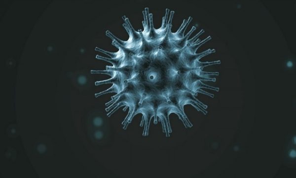 132 raste të reja me koronavirus, janë kryer 486 analiza