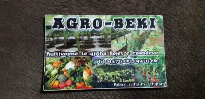 Agro Beki fillon shitjen e rasadit domate, spec dhe trangujve hibrid të llojeve të ndryshme