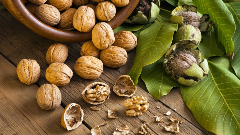 Katër receta me arra: Arrat janë të njohura nga lashtësia për cilësitë shëruese – do ta ruajnë shëndetit tuaj!