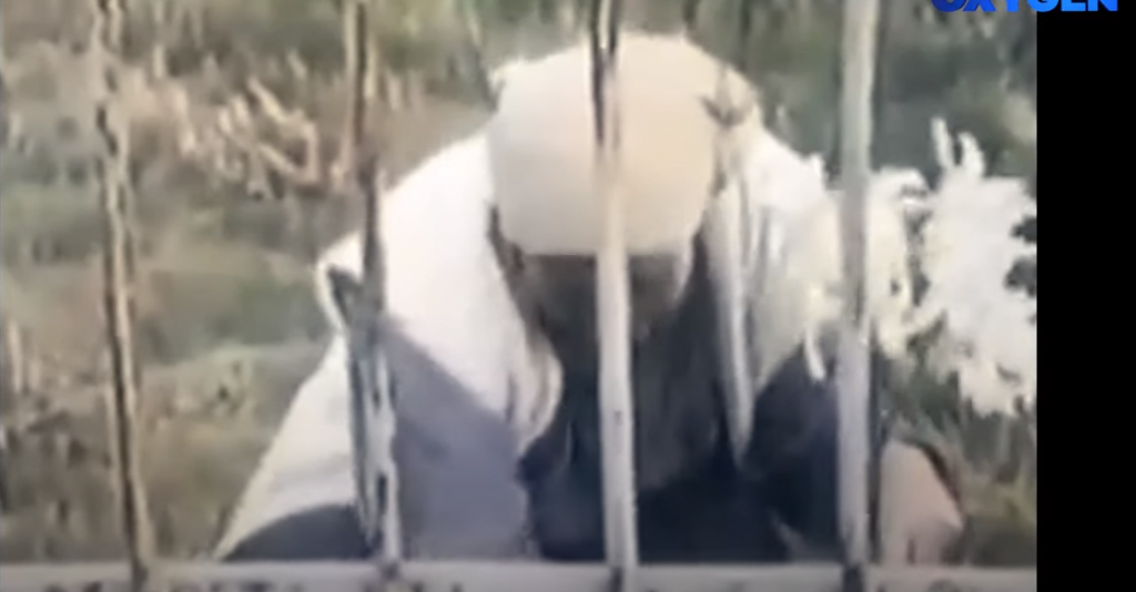 Rrëfimi për masakrat në komunën e Lipjanit, rrëfime nga dëshmitarët