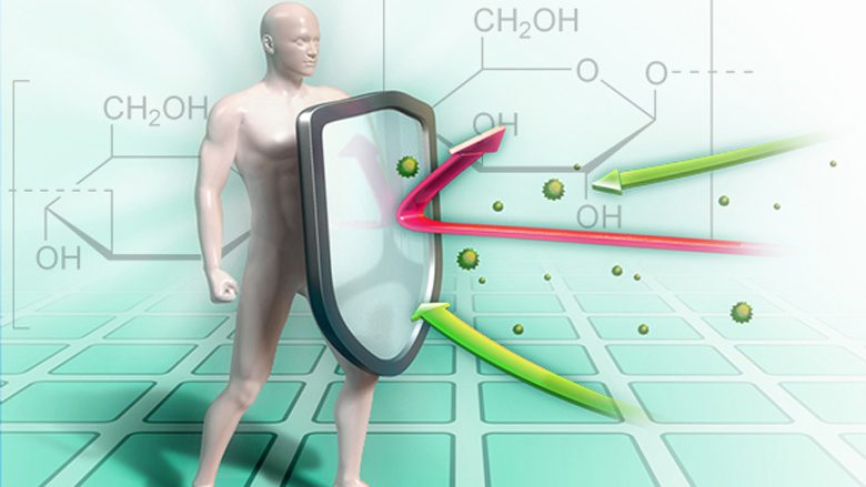 Vitamina D nuk është e vetmja: Edhe një shtesë në ushqim mund të forcojë imunitetin dhe të ndihmojë kundër infeksioneve
