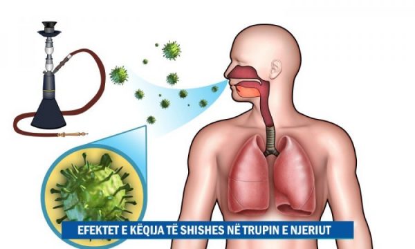 E tmerrshme çka i ndodh trupit kur pini “shisha”