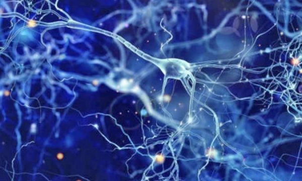 Kujdesi për dhëmbët dhe sëmundja e alzheimerit – Çfarë duhet të dini