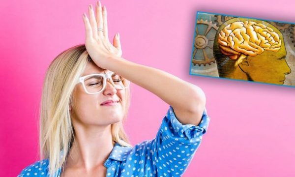 Shkenca: Harresa është shenjë e inteligjencës së lartë
