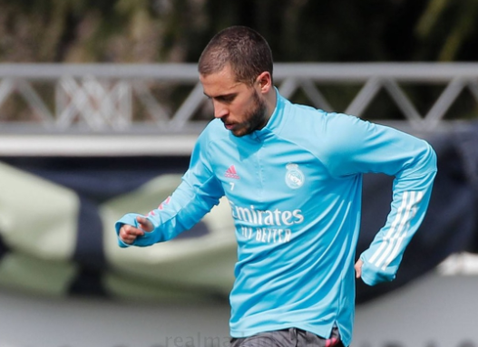 Hazard humb 4kg brenda 12 ditësh