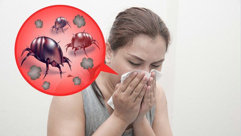Alergjia ndaj tenjave: Çfarë mund të bëni dhe cilat janë simptomat?