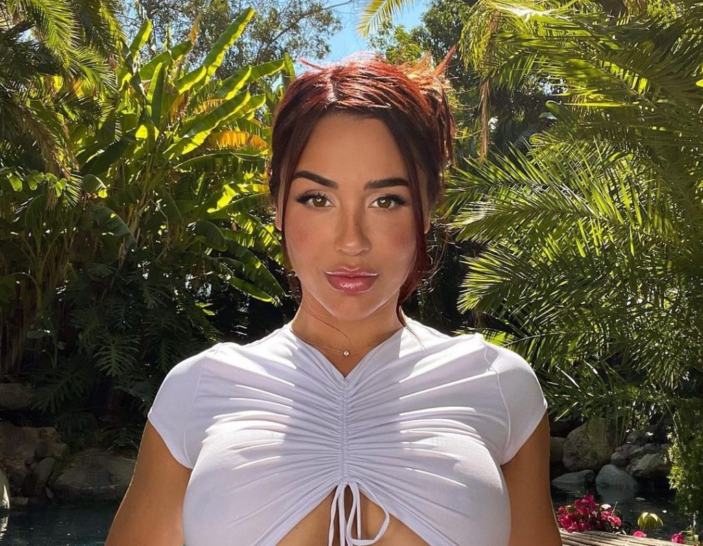 Ana Cheri ngacmon imagjinatën me bluzën e vogël