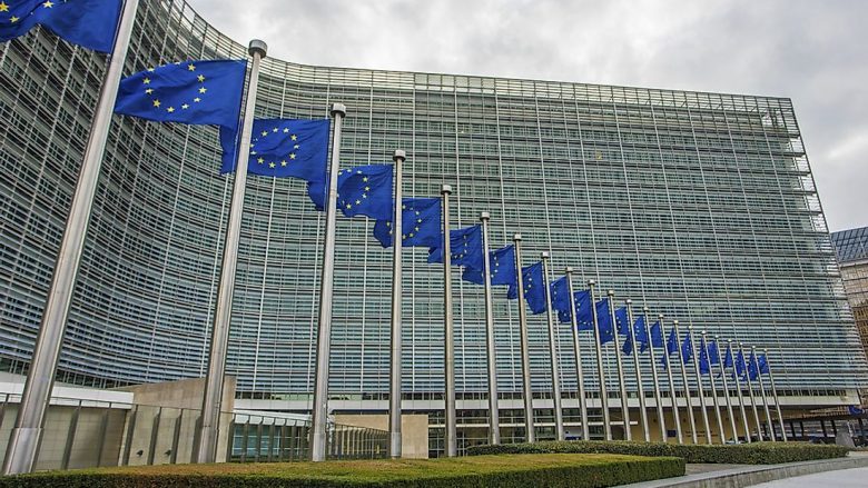 Ndalja e boksierëve kosovarë, reagon BE-ja: Federata e Boksit e Kosovës të trajtohet njësoj si të tjerat