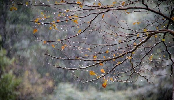 Mjegull dhe ngrica të dobëta, këto janë temperaturat sot